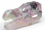 Colorful, Carved, Banded Fluorite Dinosaur Skull #218477-4